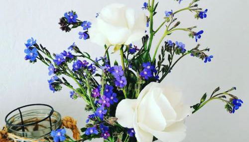 La Casita de Coco Tejeda - Foto 4