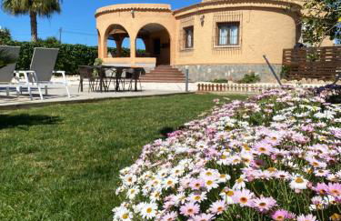 Laguna del Flamenco - Foto 14