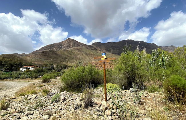 Renovated Tiny House in the Country Near Fataga - Photo 22