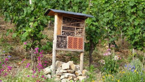 Marmann - large holiday apartment - Foto 3, Other