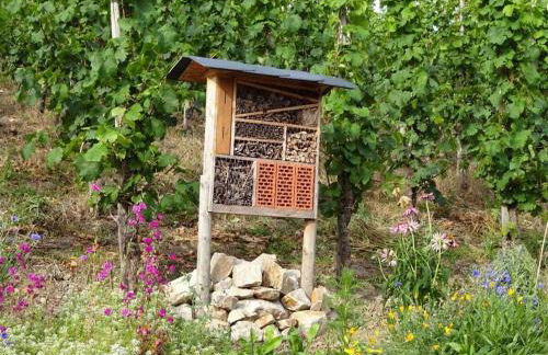 Marmann - large holiday apartment - Foto 3