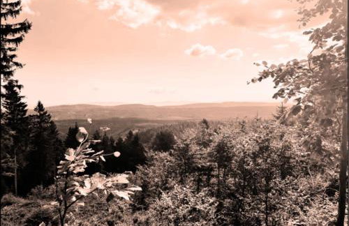 SUDECKA K0RONA domki całoroczne - Foto 24