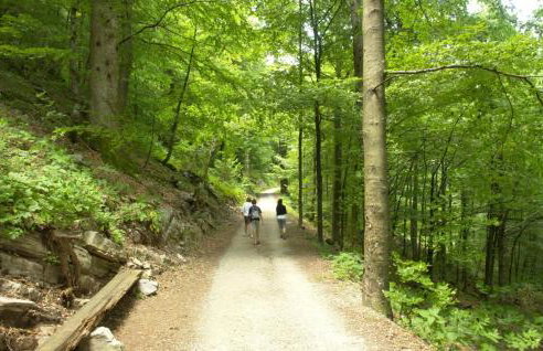 Kuca za odmor ZORA by Villas Guide - Foto 29