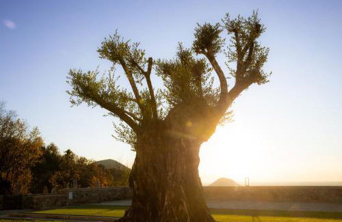 Ca' Salva Rustic Charme - Foto 74