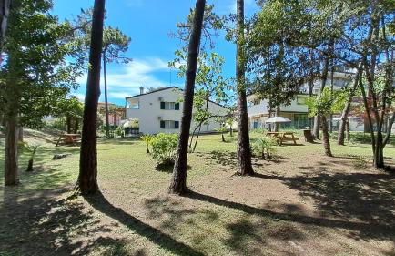 Villa Barbara Fra i Pini - Foto 43