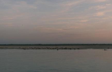 Maison Maa , corps de ferme en entier, à 10 min de Saint Valery sur Somme à pieds le long du canal - Foto 45