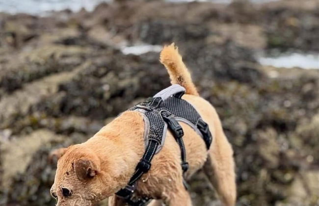 Southside Street Apartments - Foto 11