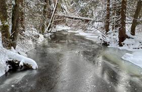 Villa Barka - Foto 60