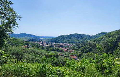 Residence Magnolia - Photo 5