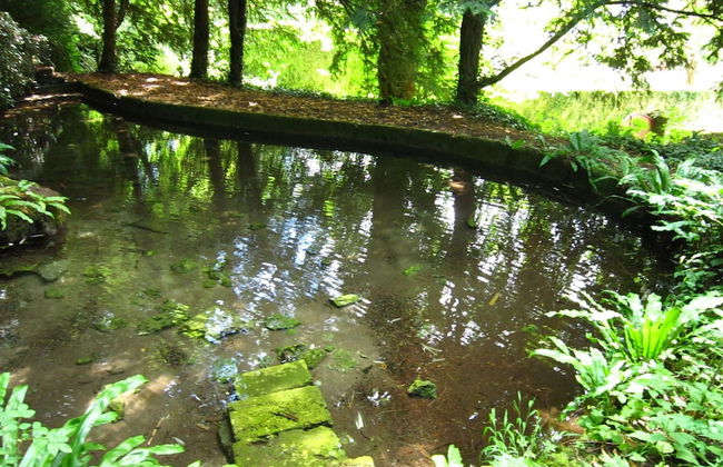 Apartment in Serrieres Near French Alps Skiing - Foto 13