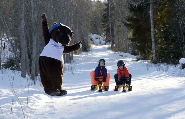 Hassela Ski Resort Cabins - Photo 34