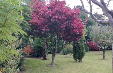 Casa Barranqueiro - Foto 55