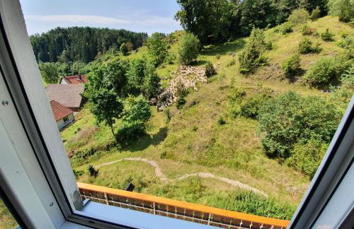 Haus Goldfuß - Foto 30