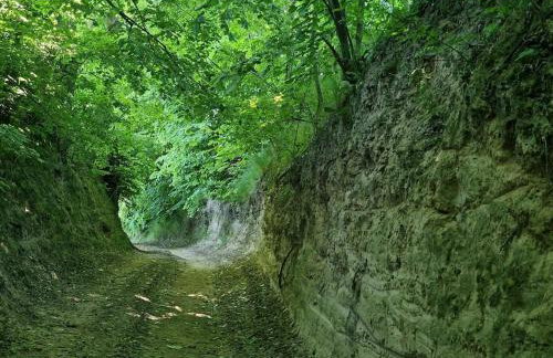 Agroturystyka Nad Bystra - Drewniany dom z pięknym ogrodem - Photo 10