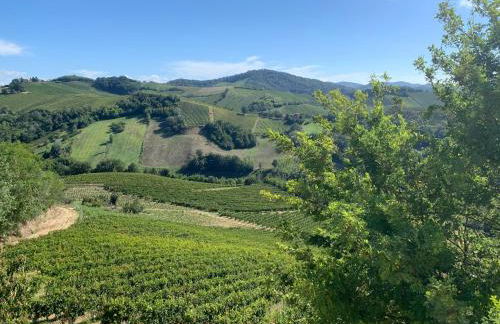 Agriturismo i Gessi - Foto 17