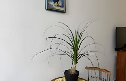 Sensacional Studio Cinelândia 1310 - Foto 19