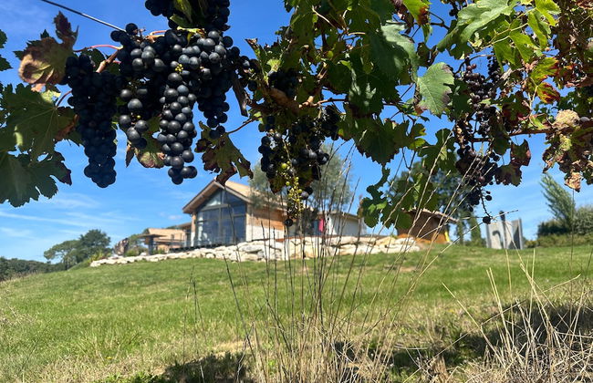 Plaisir d'Eymet du Domaine des Hauts de Rouquette - Foto 41