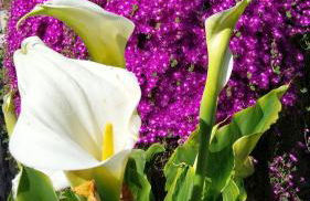 Il Giardino di Gio' - Foto 34