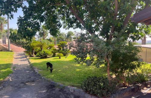 Agriturismo Gianferrante - Foto 15