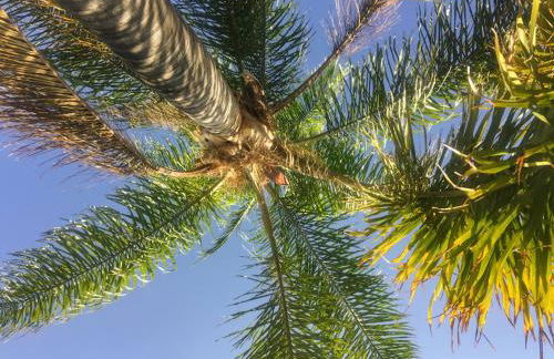 Casita Azahar Andalucia - Photo 37