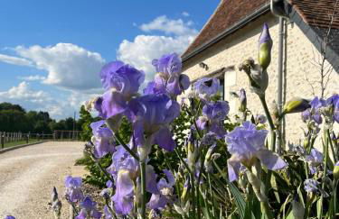 La Huberdière - Foto 47