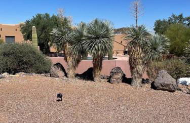 Tucson Mnt Foothills Saguaro Bliss - Foto 36