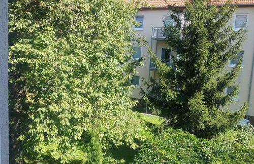 Kleine gemütliche Wohnung In Erfurt - Foto 7