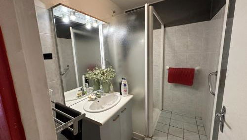 Meublé Les Dômes du Parc 6ème - Foto 5