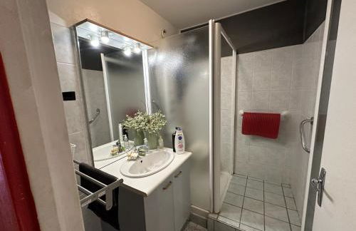 Meublé Les Dômes du Parc 6ème - Foto 5