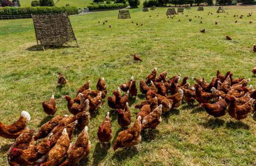 The Anchorage Nables Farm - Foto 42