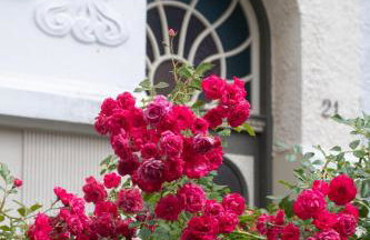 Schiller meets Ostsee - Foto 40