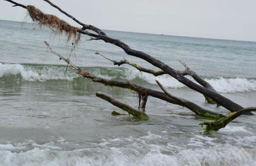 Below Comfortable holiday residence - Foto 34