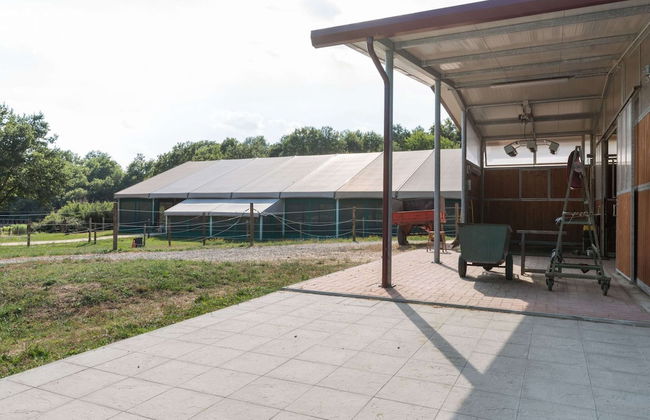 Tranquil Farmhouse in Terranova Bracciolini near Nightlife - Foto 31