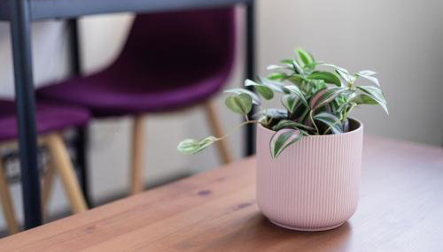 Studio Victor 102 - Petit cocon bien situé - Foto 5