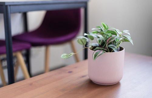 Studio Victor 102 - Petit cocon bien situé - Foto 5