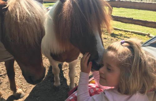 Minsener Warft - Photo 49