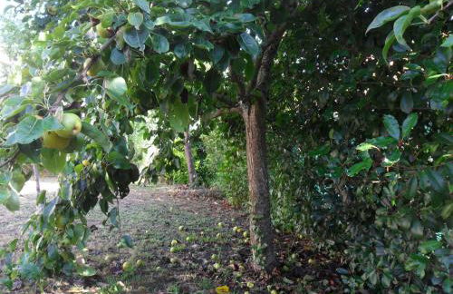 Lar Toxiño - Foto 25