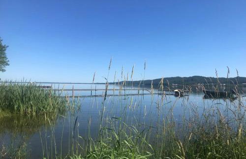 Willa Paulina - Foto 24