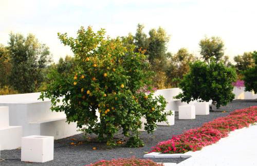 Sesmarias Turismo Rural & SPA - Foto 22