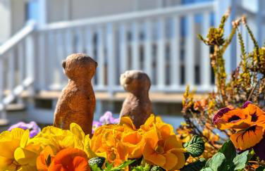 Haus Grünewald Unsleben - Foto 90