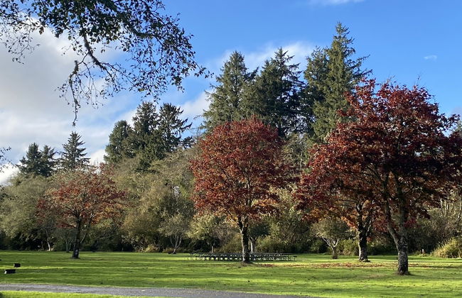 Wallicut River RV Resort & Cabins - Foto 9