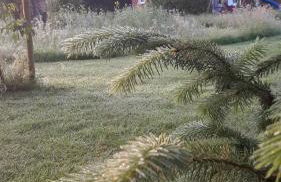 Sommerhaus (am Landhaus von Felde) - Photo 16