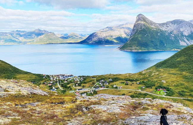 4 Person Holiday Home in Stonglandseidet-by Traum - Foto 27