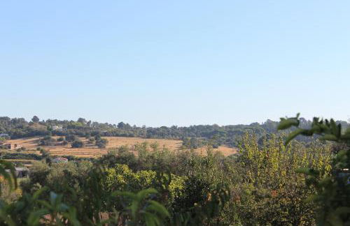 Casinha dos Avós - Foto 15