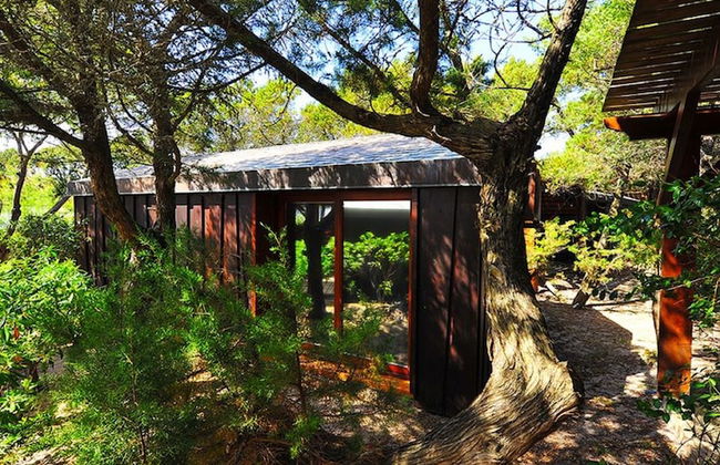 Residence Moby Dick - Foto 22