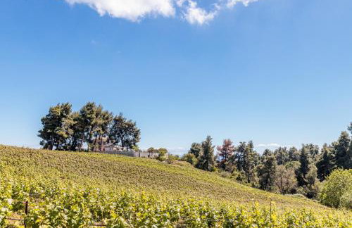 Villa Siraino - Ktima Skopelos - Foto 54