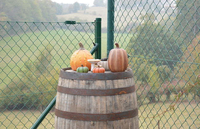 Vintage Holiday Home in Couvin near River - Foto 18