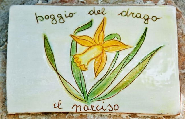 Agriturismo Poggio del Drago - Photo 3