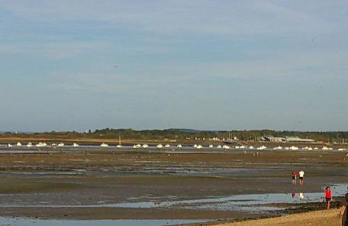 LES TROENES - Photo 22