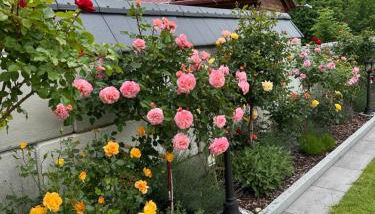 Theresiengarten - Foto 5